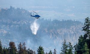 Scientists say current wildfire situation is beyond a ‘crisis’