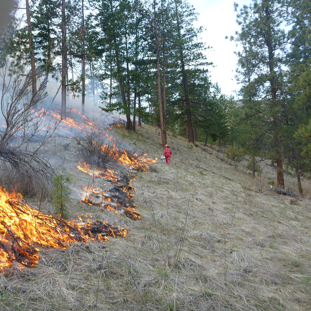 Wildfire perimeter burn